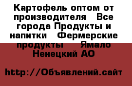 Картофель оптом от производителя - Все города Продукты и напитки » Фермерские продукты   . Ямало-Ненецкий АО